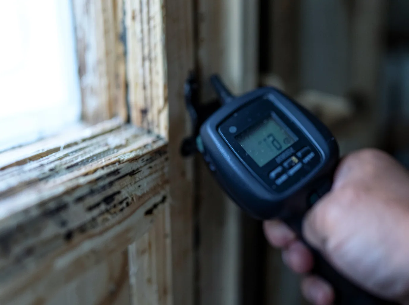 Moisture Inspection And Documentation in Somerset, PA